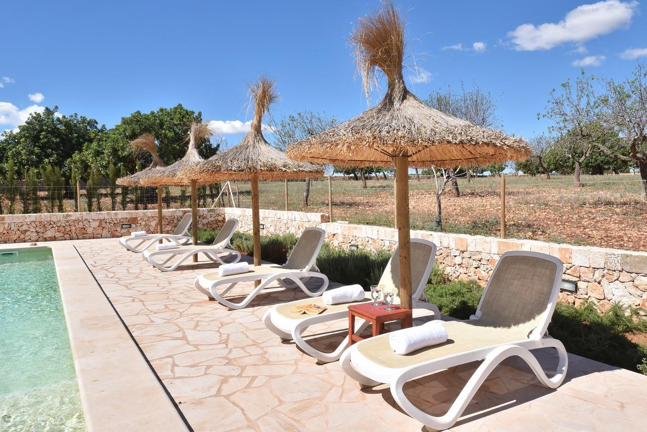 Sonduri * Porto Petro (Mallorca)